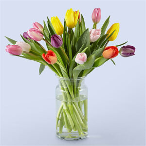 Picnic Tulips